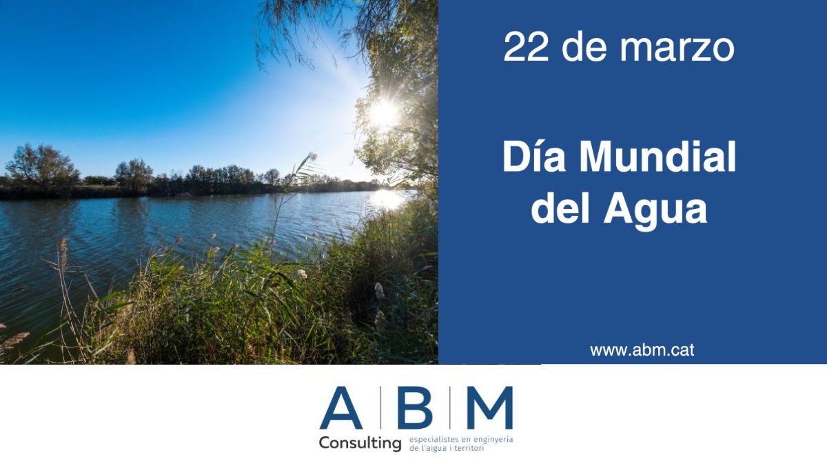 Dia Mundial Aigua ABM ES