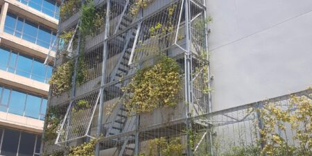 reg jardi vertical beteve ABM Consulting-1