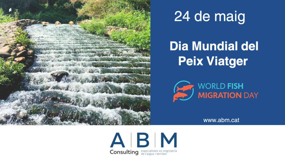 Dia Internacional Peix Viatger CAT ABM Consulting