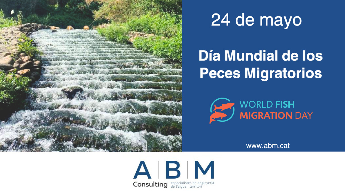 Dia Internacional Peces Migratorios ABM Consulting ES